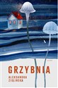 Grzybnia