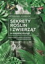 Sekrety roślin i zwierząt w miejskiej dżungli Majestat gołębi, dyskretny urok ślimaków i inne cuda świata przyrody