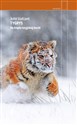 Tygrys Na tropie rosyjskiej bestii - John Vaillant