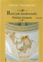 Baśń jak niedźwiedź Polskie historie t.2