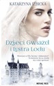 Dzieci Gwiazd i Lustra Lodu - Katarzyna Izbicka