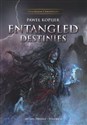 Entangled Destinies Mitrys Trilogy vol. 3 DualRealm Chronicles