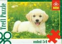 Trefl Puzzle 54 Mini Pupile 