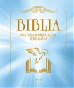 Biblia Historia przyjaźni z Bogiem - Francois Campagnac, Christophe Raimbault, Fabienne Py-Renaudie