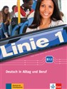 Linie 1 B1.1 Kurs- und Ubungsbuch +DVD - Stefanie Dengler, Ludwig Hoffmann, Susan Kaufmann