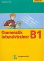 Grammatik Intensivtrainer B1