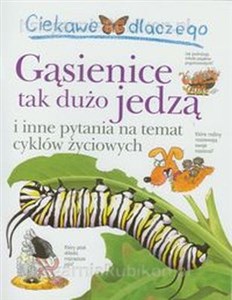 Ciekawe dlaczego Gąsienice tak dużo jedzą i inne pytania na temat cyklów życiowych