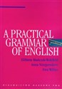 A practical Grammar of English - Elżbieta Mańczak-Wohlfeld, Anna Niżegorodcew, Ewa Willim