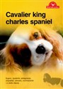 Cavalier King charles spaniel - Opracowanie Zbiorowe