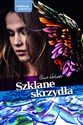 Szklane skrzydła - Gina Holmes