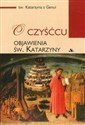 O Czyśćcu. Objawienia Św. Katarzyny - św. Katarzyna z Genui