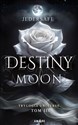 Destiny moon 