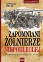 Zapomniani żołnierze Niepodległej Polskie wojsko w Rosji 1914-1920 - Andrzej Solak