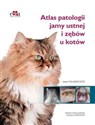 Atlas patologii jamy ustnej i zębów u kotów  - J.C. Soto