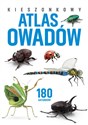 Kieszonkowy atlas owadów. 180 gatunków 