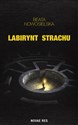 Labirynt strachu - Beata Nowosielska