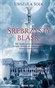 Srebrzysty blask  - Urszula Soja