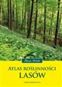 Atlas roślinności lasów 