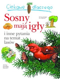 Ciekawe dlaczego Sosny mają igły i inne pytania na temat lasów