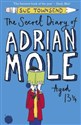 Secret Diary of Adrian Mole Aged