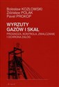 Wyrzuty gazów i skał Prognoza, kontrola, zwalczanie i ochrona załóg