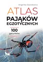 Atlas pająków egzotycznych 100 gatunków