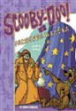 Scooby-Doo! i fałszywa wróżka - James Gelsey