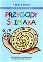 Przygody Ślimaka - plansza