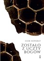 Zostało z uczty bogów - Igor Newerly