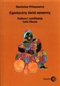 Egzotyczny świat sawanny Kultura i cywilizacja ludu Hausa - Stanisław Piłaszewicz