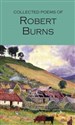 The Collected Poems of Robert Burns - Robert Burns