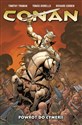 Conan Tom 3 Powrót do Cymerii - Kurt Busiek, Fabian Nicieza, Timothy Truman