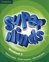 Super Minds 2 Workbook