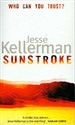 Sunstroke - Jesse Kellerman