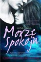 Morze spokoju - Katja Millay