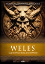 Weles. Słowiański bóg zaświatów - Michaela Gajdošíková-Šebetovská