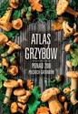 Atlas grzybów