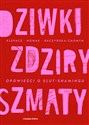 Dziwki, zdziry, szmaty Opowieści o slut-shamingu - Paulina Klepacz, Kamila Raczyńska-Chomyn, Aleksandra Nowak