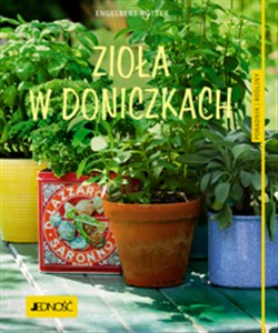 Zioła w doniczkach