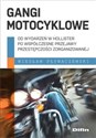 Gangi motocyklowe Od wydarzeń w Hollister po współczesne przejawy przestępczości zorganizowanej - Wiesław Pływaczewski