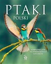 Ptaki Polski Kompletna lista 450 stwierdzonych gatunków - Dominik Marchowski