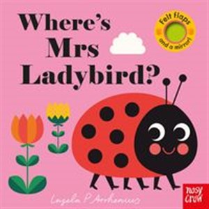 Where’s Mrs Ladybird? 