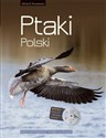 Ptaki Polski Encyklopedia ilustrowana Płyta CD z głosami ptaków - Andrzej G. Kruszewicz