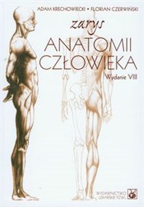 Zarys anatomii człowieka