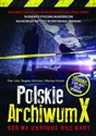 Polskie Archiwum X Nie ma zbrodni bez kary - Piotr Litka, Bogdan Michalec, Mariusz Nowak