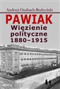 Pawiak Więzienie polityczne 1880-1915 - Andrzej Ossibach-Budzyński