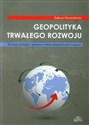 Geopolityka trwałego rozwoju Ewolucja cywilizacji i państwa w trakcie dziejotwórczych kryzysów - Tadeusz Klementewicz