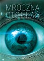 Mroczna Otchłań Tom 3 - Christophe Bec