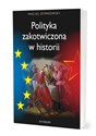 Polityka zakotwiczona w historii - Maciej Dymkowski