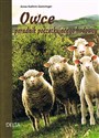 Owce Poradnik dla początkującego hodowcy - Anne-Kathrin Gomringer